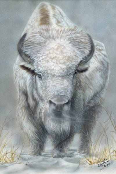 Large Art for Living Room - Canvas Prints: White Buffalo by Wayne Pruse