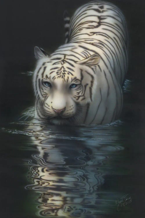 White Tiger In The Water