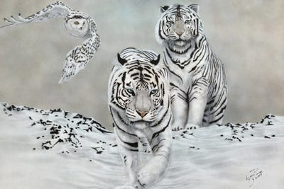 Winter White by Wayne Pruse framed canvas print