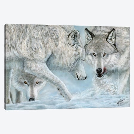 Alpha Challenge Canvas Print #WNP3} by Wayne Pruse Canvas Artwork