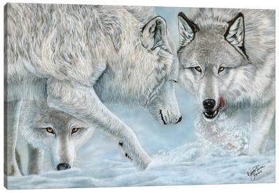 Alpha Challenge Canvas Art Print - Wayne Pruse