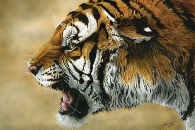 Angry Siberian by Wayne Pruse framed canvas print