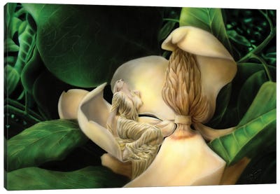 Sweet Smell Of Magnolias Canvas Art Print - Similar to Georgia O'Keeffe