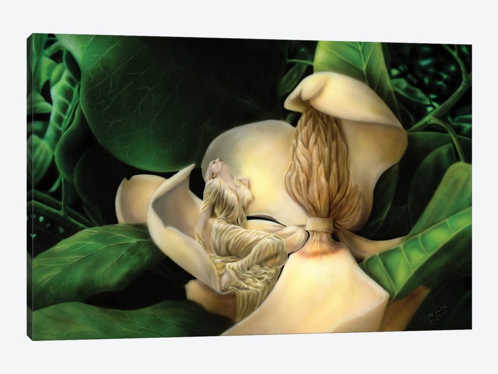 Sweet Smell Of Magnolias by Wayne Pruse 1-piece Canvas Art