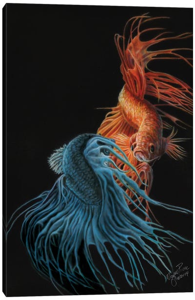 Siamese Fighting Fish II Canvas Art Print - Wayne Pruse