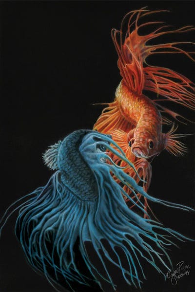 Betta: Siamese Fighting Fish II by Wayne Pruse