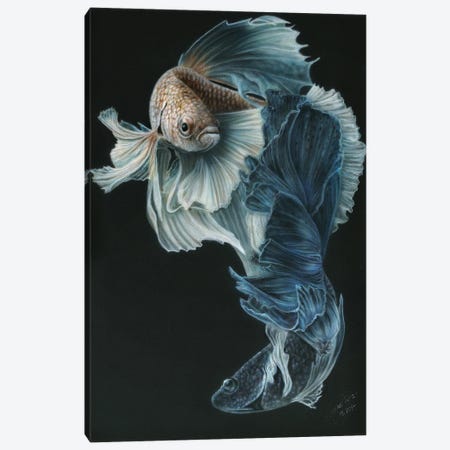 Siamese Fighting Fish III Canvas Print #WNP44} by Wayne Pruse Canvas Art Print