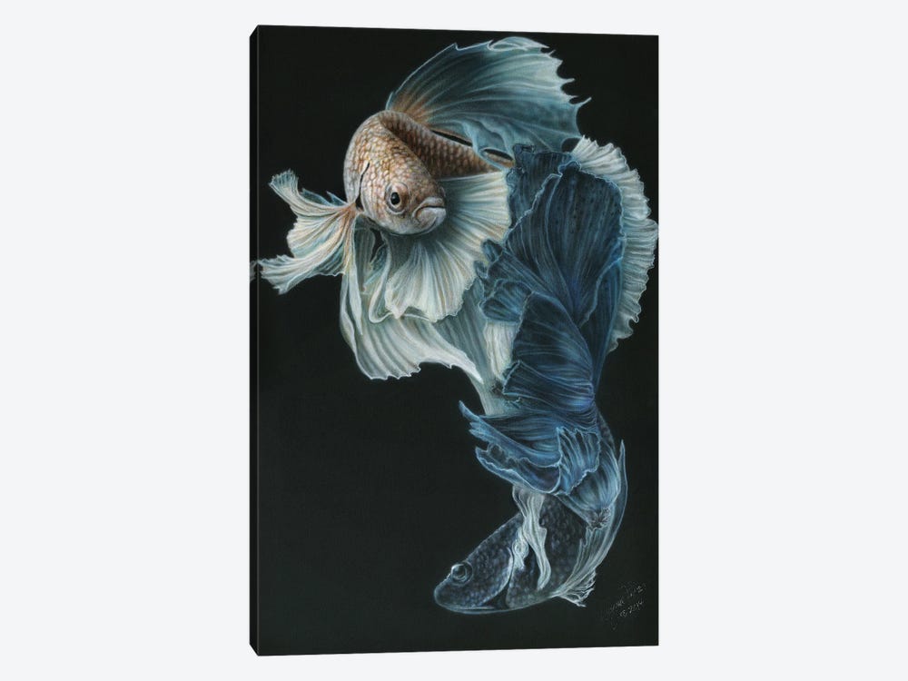 Siamese Fighting Fish III by Wayne Pruse 1-piece Canvas Artwork