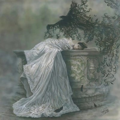 Sleeping Beauty by Wayne Pruse framed canvas print
