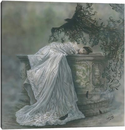 Sleeping Beauty Canvas Art Print - Wayne Pruse