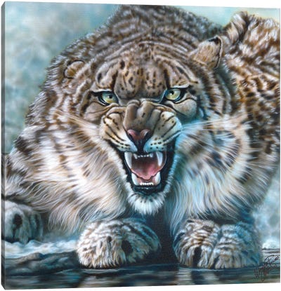 Snow Leopard Canvas Art Print - Wayne Pruse