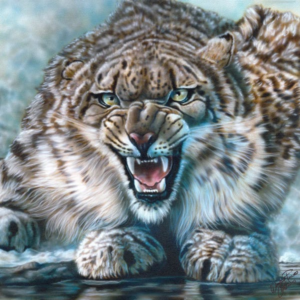 Leopards: Snow Leopard by Wayne Pruse