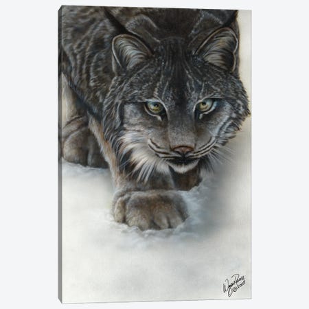 Canadian Lynx Canvas Print #WNP9} by Wayne Pruse Canvas Wall Art