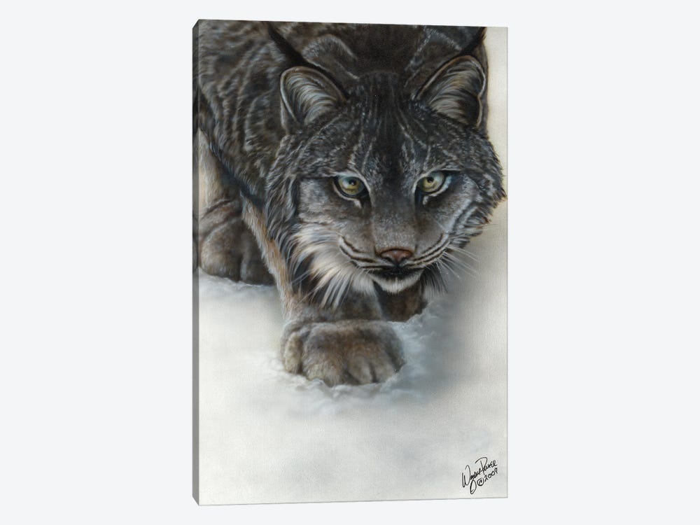 Canadian Lynx by Wayne Pruse 1-piece Canvas Art Print