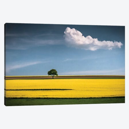 The Tree And The Cloud Canvas Print #WON3} by Andreas Wonisch Canvas Wall Art