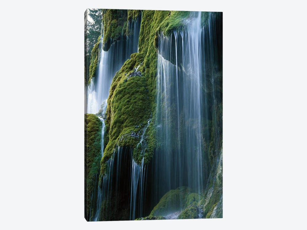 Waterfall, Bavaria, Germany by Konrad Wothe 1-piece Canvas Print