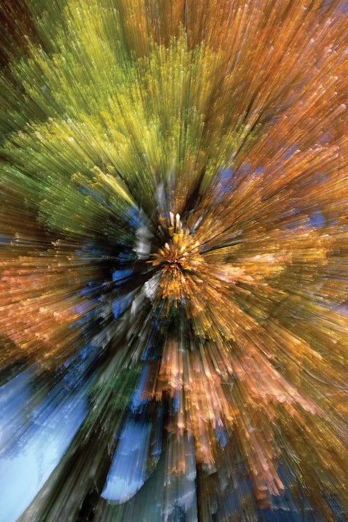 Autumn Foliage, Abstract