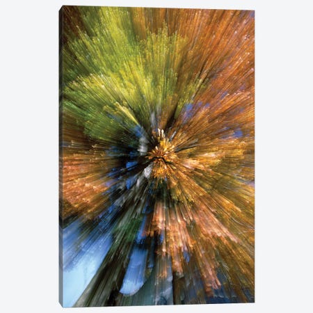 Autumn Foliage, Abstract Canvas Print #WOT4} by Konrad Wothe Canvas Wall Art