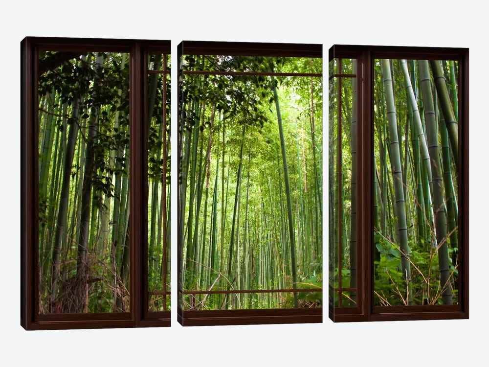 Bamboo Forest Window View by Unknown Artist 3-piece Canvas Artwork