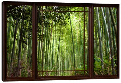 Bamboo Forest Window View Canvas Art Print - Trees