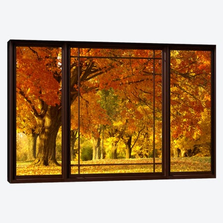 Golden Autumn Trees Window View Canvas Print #WOW45} by Unknown Artist Art Print