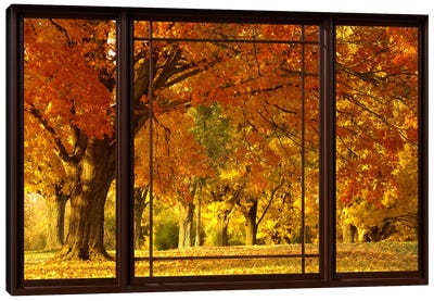 Golden Autumn Trees Window View Canvas Art Print - Unknown Artist