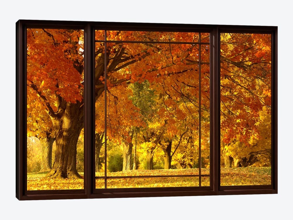 Golden Autumn Trees Window View by Unknown Artist 1-piece Canvas Art
