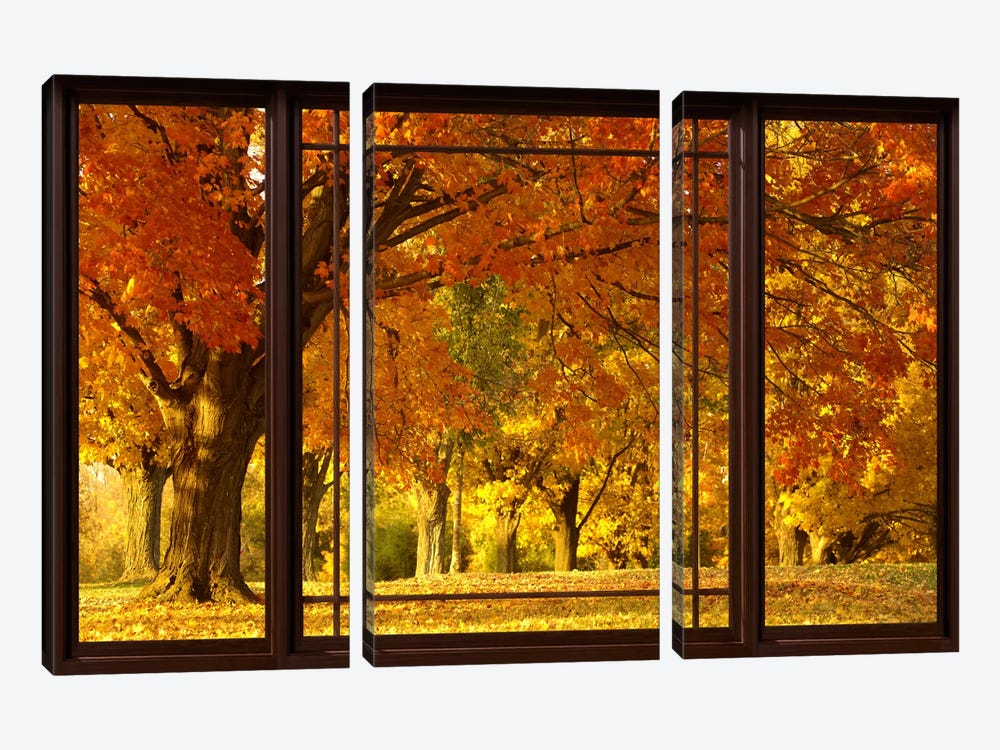 Golden Autumn Trees Window View by Unknown Artist 3-piece Canvas Wall Art