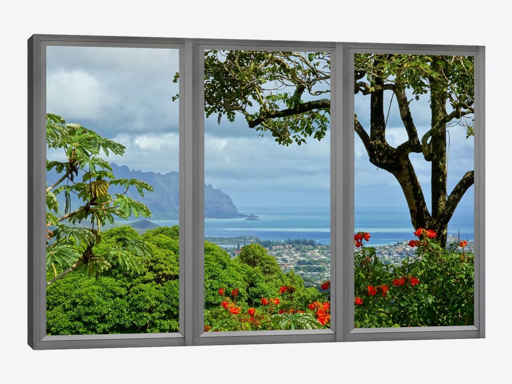 Hawaii Window View by Unknown Artist 1-piece Canvas Artwork