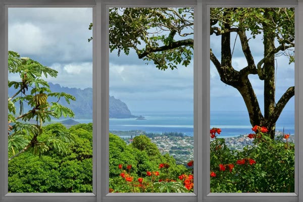 Large Floral & Botanical Art - Canvas Prints: Hawaii Window View by Unknown Artist