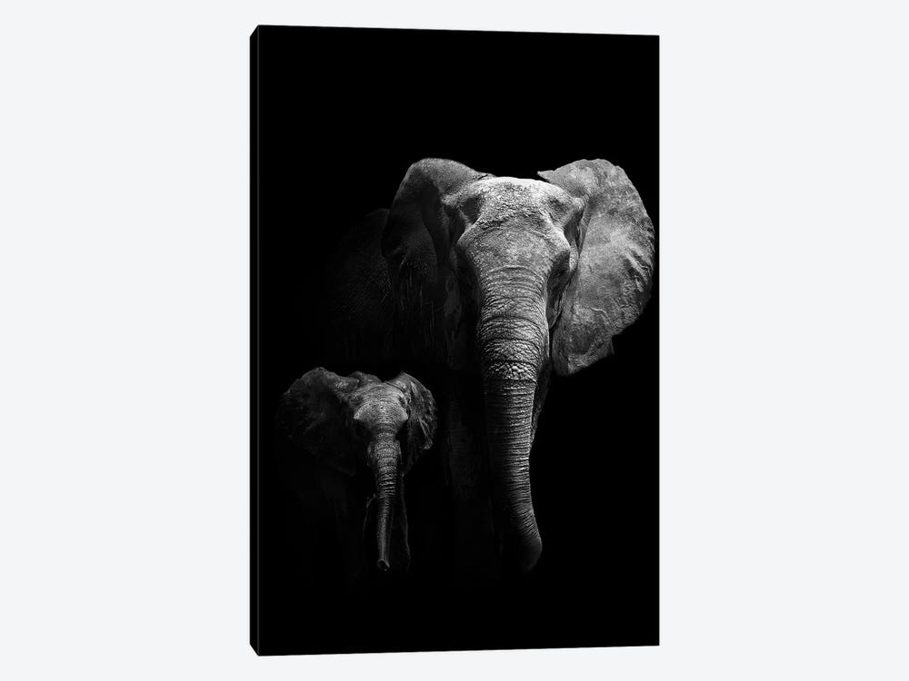 Mother And Child by WildPhotoArt 1-piece Canvas Art