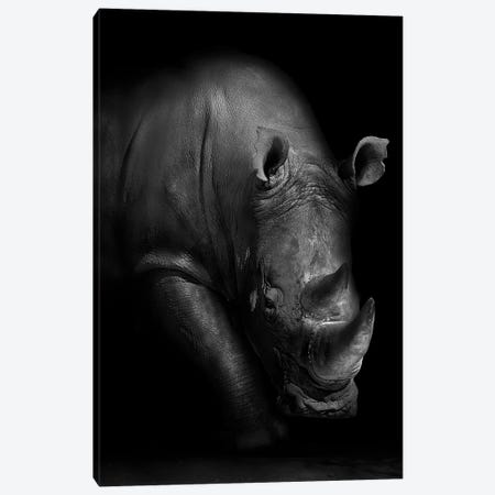 Rhino Canvas Print #WPA7} by WildPhotoArt Canvas Art Print