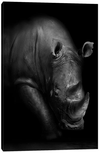 Rhino Canvas Art Print