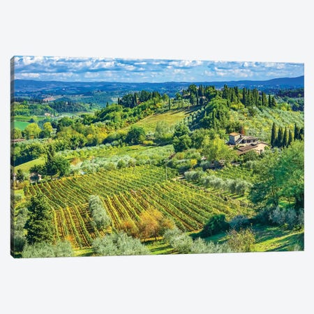 Tuscan Vineyard, San Gimignano, Tuscany, Italy Canvas Print #WPE37} by William Perry Art Print
