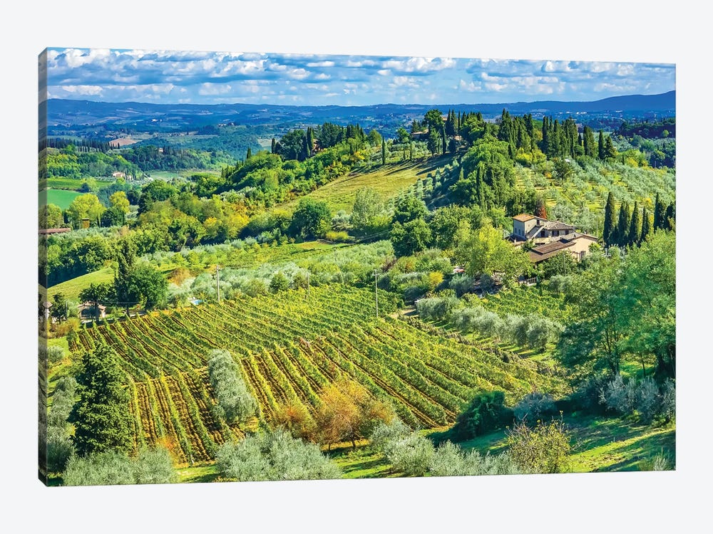 Tuscan Vineyard, San Gimignano, Tuscany, Italy by William Perry 1-piece Canvas Wall Art