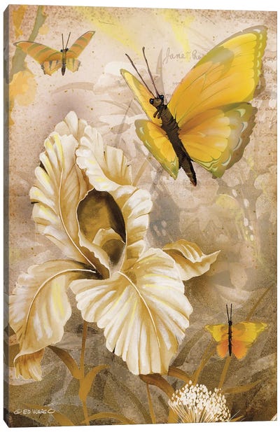 Flower & Butterflies I Canvas Art Print