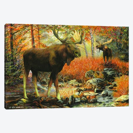 Call of the Wild Canvas Print #WRG1} by Ed Wargo Canvas Wall Art