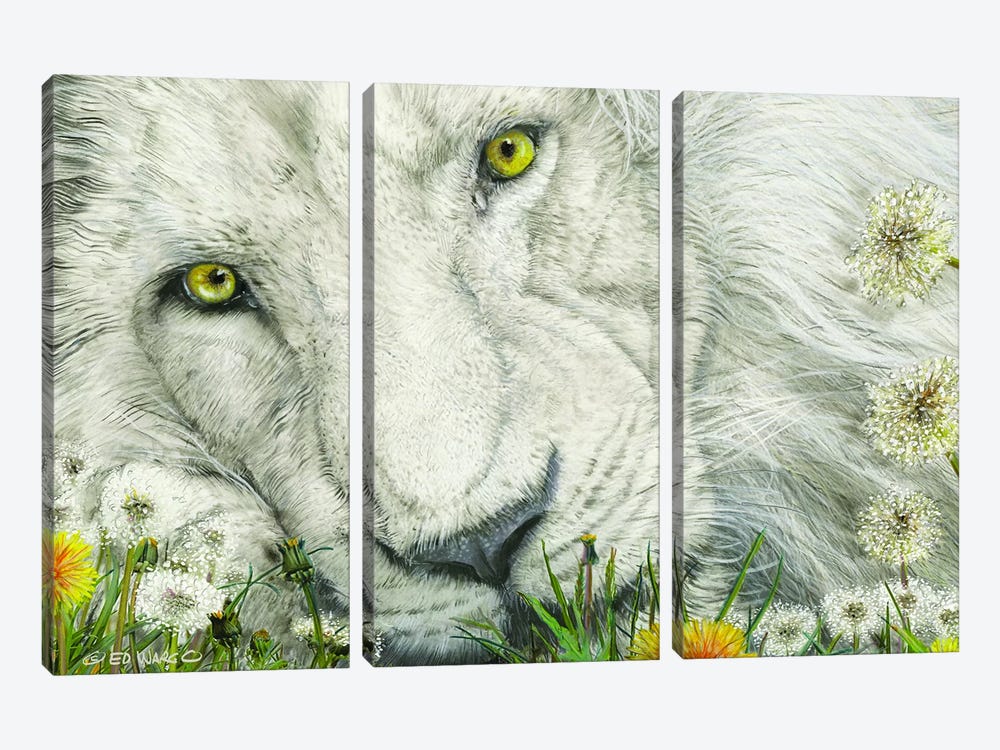 Dandy Lion by Ed Wargo 3-piece Canvas Art
