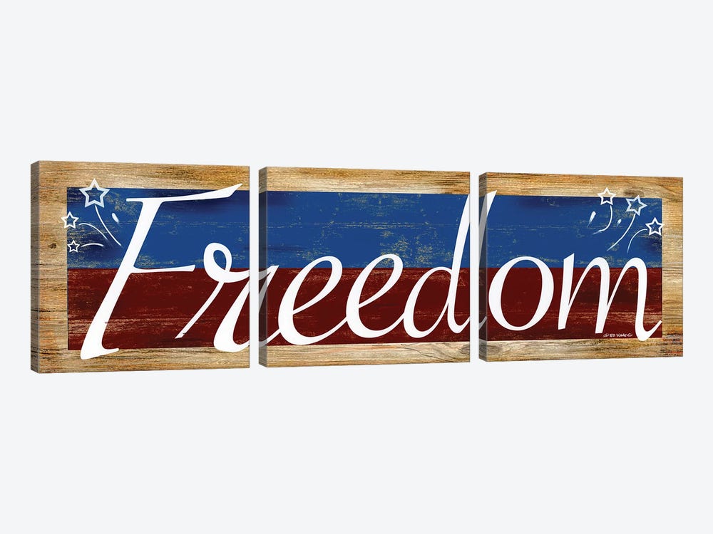 Freedom by Ed Wargo 3-piece Canvas Wall Art