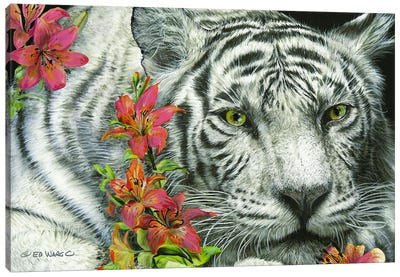 Tiger Lily Canvas Art Print