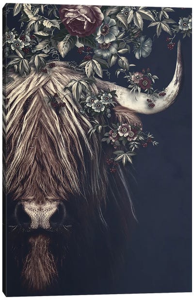 Highlander II Canvas Art Print - Highland Cow Art