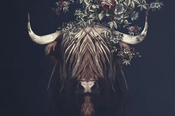 Animal Lover: Highlander II Landscape by Wouter Rikken