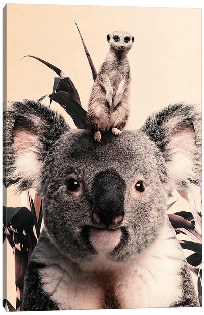 Koala Meerkat Dreamteam Canvas Art Print - Wouter Rikken