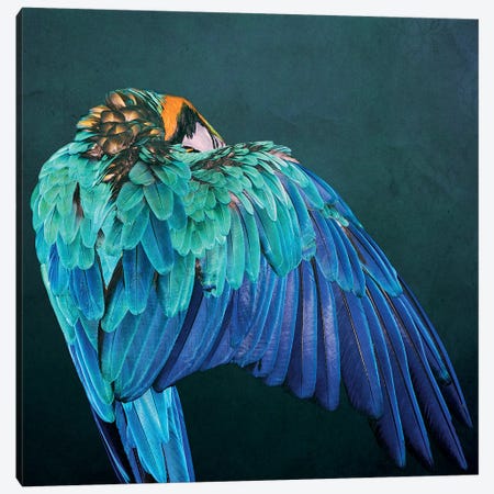 Parrot Wing Canvas Print #WRI104} by Wouter Rikken Canvas Artwork