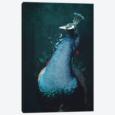 Peacock II Canvas Print #WRI105} by Wouter Rikken Canvas Art