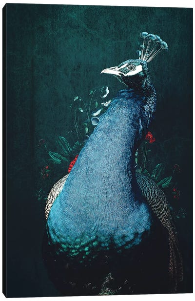 Peacock II Canvas Art Print - Wouter Rikken