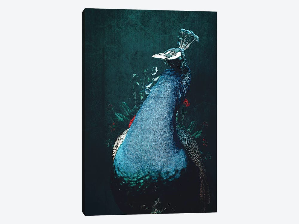 Peacock II by Wouter Rikken 1-piece Canvas Wall Art