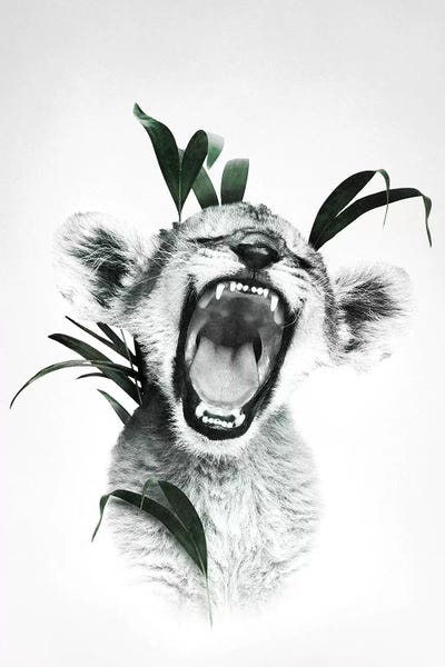 Roaring Lion Cub by Wouter Rikken framed canvas print