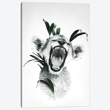 Roaring Lion Cub Canvas Print #WRI106} by Wouter Rikken Canvas Art