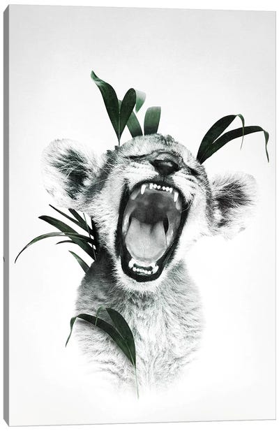 Roaring Lion Cub Canvas Art Print - Wouter Rikken